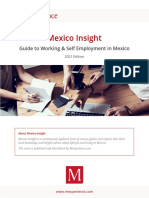 Mexico Insight: Guide To Working & Self Employment in Mexico