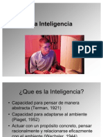 La Inteligencia 2007