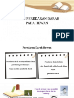 Organ Peredaran Darah Hewan