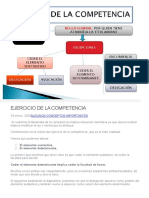 ESQUEMA - EL EJERCICIO DE LA COMPETENCIA (Elementos DETERMINANTES y Elementos SUSTANTIVOS) MUY BIEN EXPLICADO