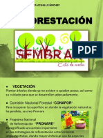 Reforestacion 130629223559 Phpapp01