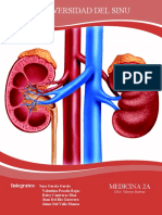 Uroanalisis