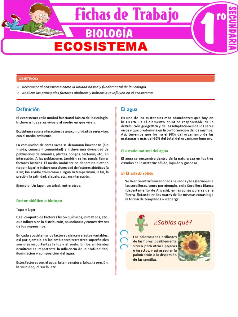 Ecosistema para Primer Grado de Secundaria | PDF | Agua | Ecosistema