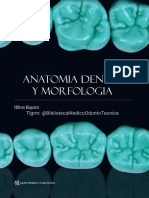 Anatomía Dental y Morfología