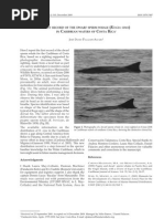 Download Palacios-Alfaro Kogia Caribe Keto 2010 by Fundacion Keto SN58945382 doc pdf