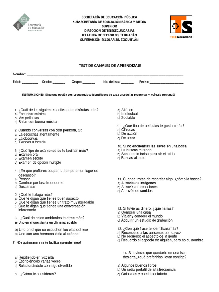 Test de Estilos de Aprendizaje | Descargar gratis PDF | Prueba (evaluación)