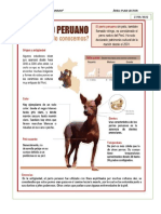 El Perro Peruano