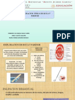 Exploracion Fisica de Boca y Faringe