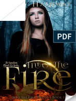 Into The Fire - Ashelyn Drake