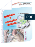 Anatomia IIT