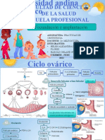 Fecundación e Implantación... Fin