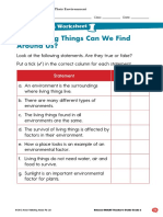 What Living Things Can We Find Around Us?: Consolidation Worksheet