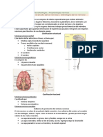 Neuro U1, U2, Medula Espinal + TP1