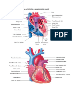 6. LAB ACT CARDIO