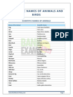 Scientific Names of Animals and Birds