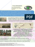 Infografia de Los Tulipanes