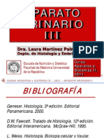 Histologia Renal 3 2011