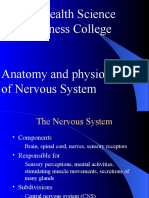 Woreta Health Science and Business College Anatomy and Physiology of Nervous System