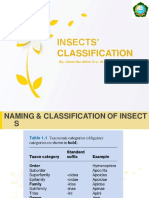 Klasifikasi Serangga