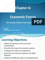 Chapter 6 - Economic Forces