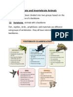 Vertebrate and Invertebrate Animals