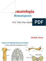 Aula 3 - Hematopoese - Plaquetopoese e Linfopoese, Formação Dos Leucócitos.