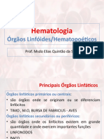 Aula 4 - Órgãos Hematopoéticos
