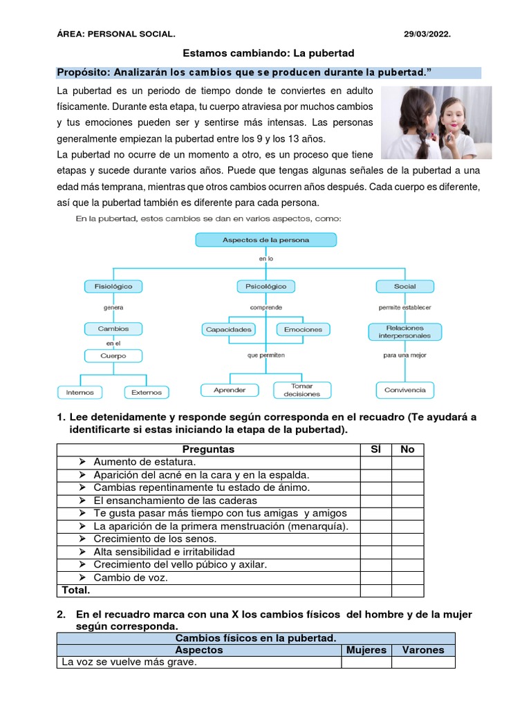 Ficha Estamos Cambiando La Pubertad | PDF | Pubertad | Reproducción