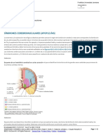 Síndromes Cerebrovasculares (Apoplejías) Enfermedad Cerebro Vascular