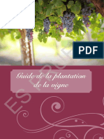 Guide de La Plantation de La Vigne