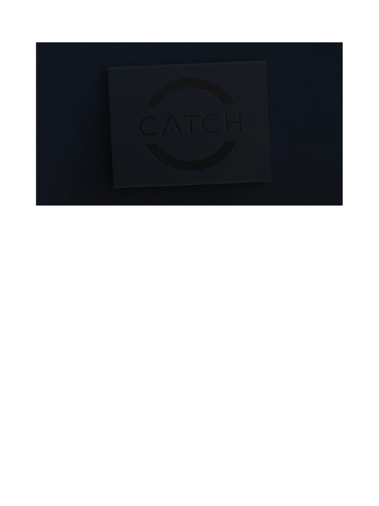 Catch Vanishing Inc PDF