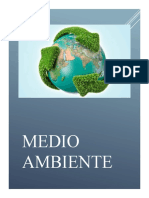 Medio Ambiente