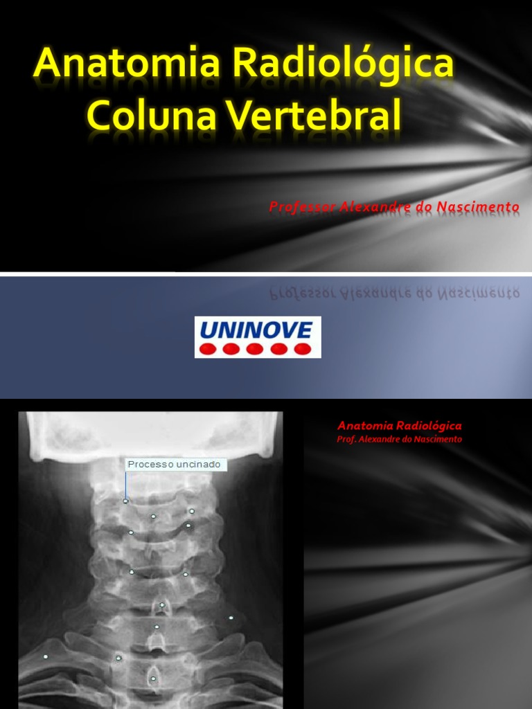 Anatomia Radiologica Coluna | PDF | Ciências da Saúde | Academia, image size:768x1024