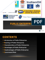 Public Enterprise Basic 09