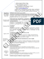 Currículo conciso para oportunidade em empresa renomada