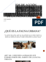 Delitos de Acción Privada Contra Animales Que Forman