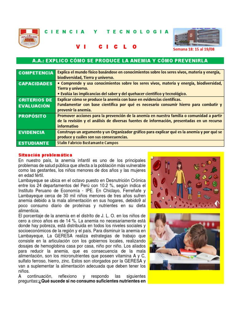 Prevención y causas de la anemia | PDF | Anemia | Glóbulo rojo