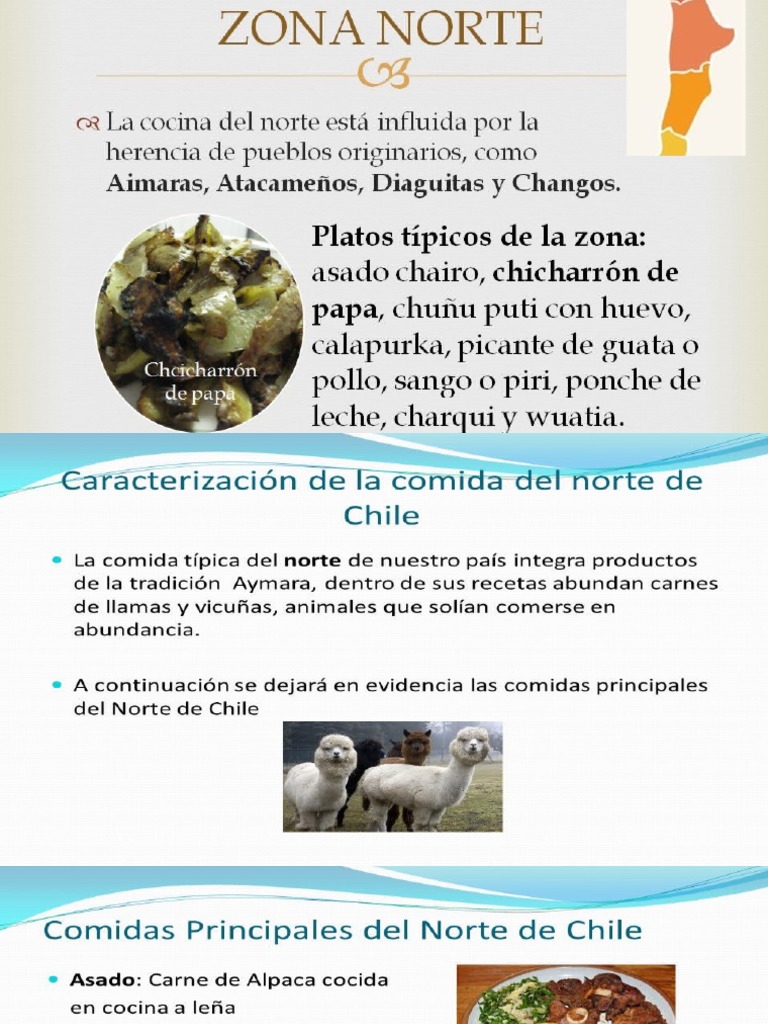 Comidas Tipicas de Chile | PDF