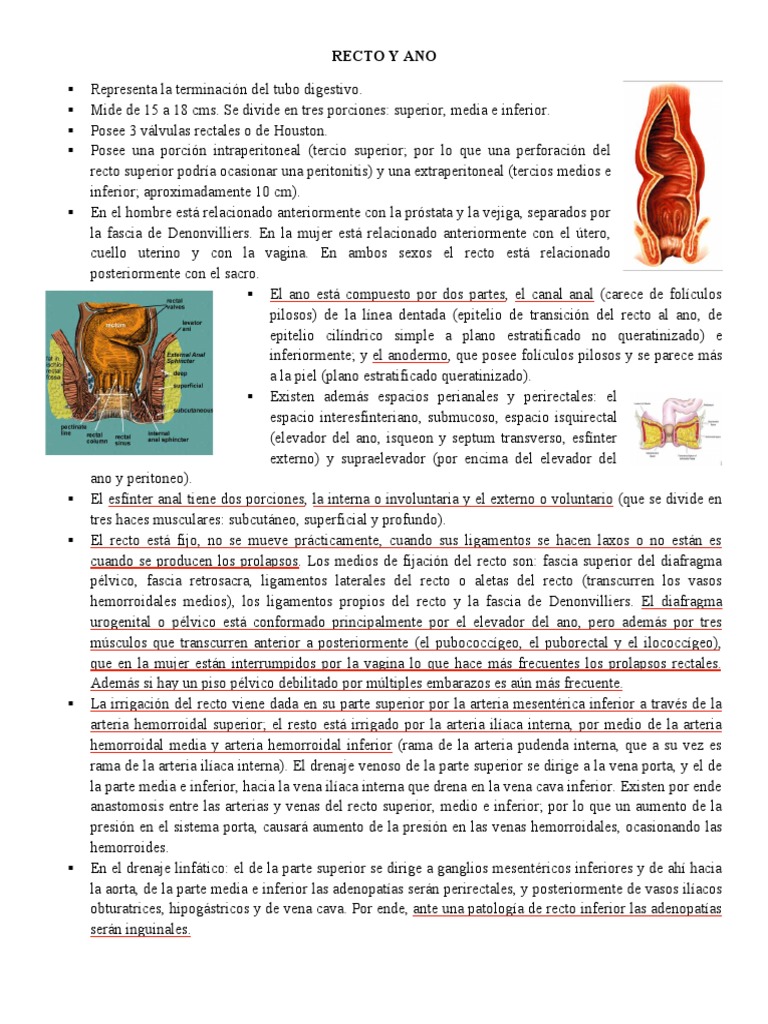 7.semiologia Recto y Ano | PDF | Hemorroides | Cáncer colonrectal