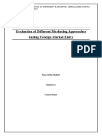 Evaluation of Different Marketing Approaches During Foreign Market Entry