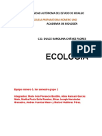 Ecologia Macetas F