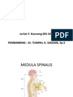 Tumor Medula Spinalis