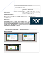 Formato Peligros Riesgos Sec Economicos