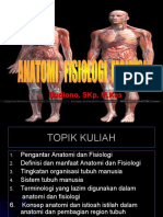 pengantar Anatomi