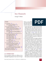 Ion Channels