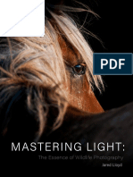 Mastering Light:: The Essence of Wildlife Photography