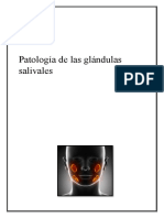 Patologia de Las Glandulas Salivales-1
