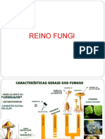 15112021092622aula Reino Fungi