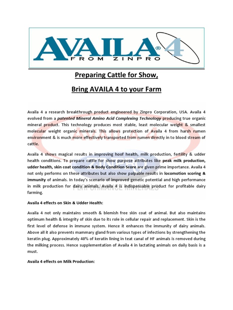 Benefits of Availa 4 for Dairy Cattle | PDF | Dairy | Dairy Farming