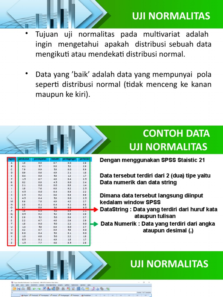 Panduan Uji Normalitas & Homoskedastisitas | PDF